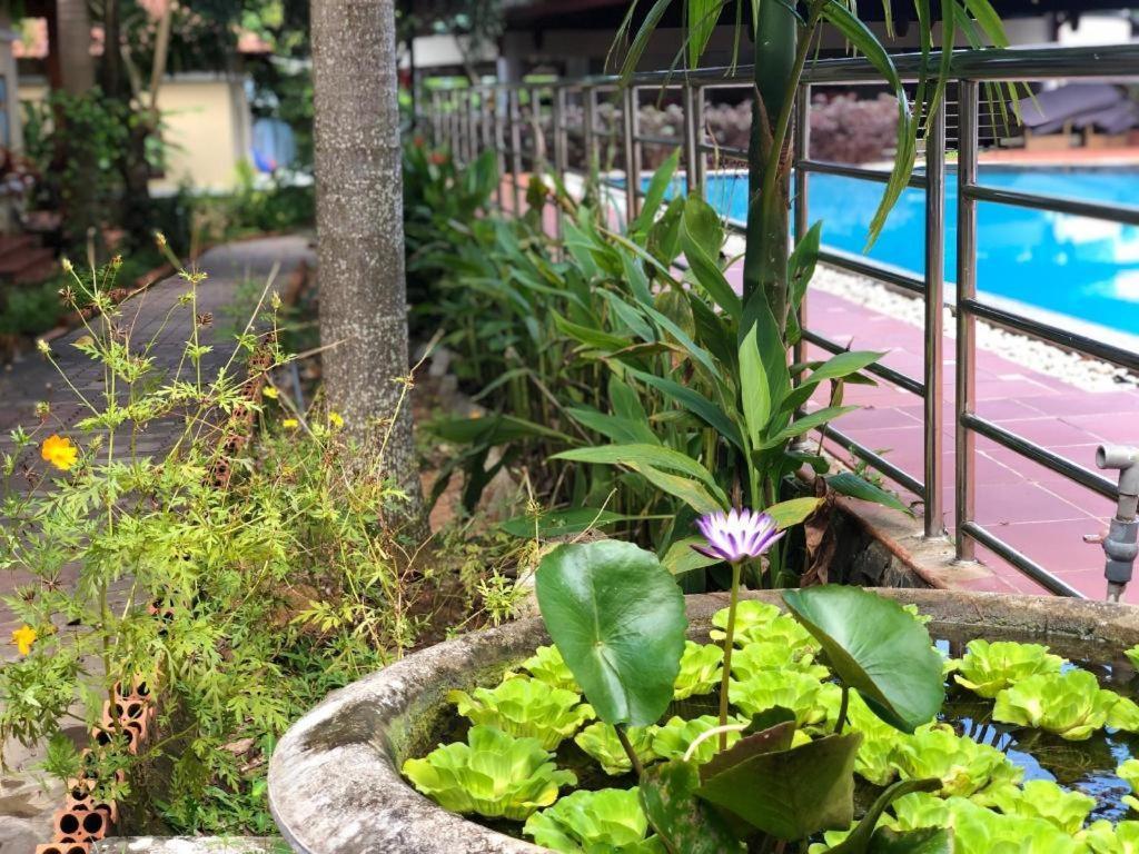 Castaways Resort Phu Quoc Eksteriør bilde