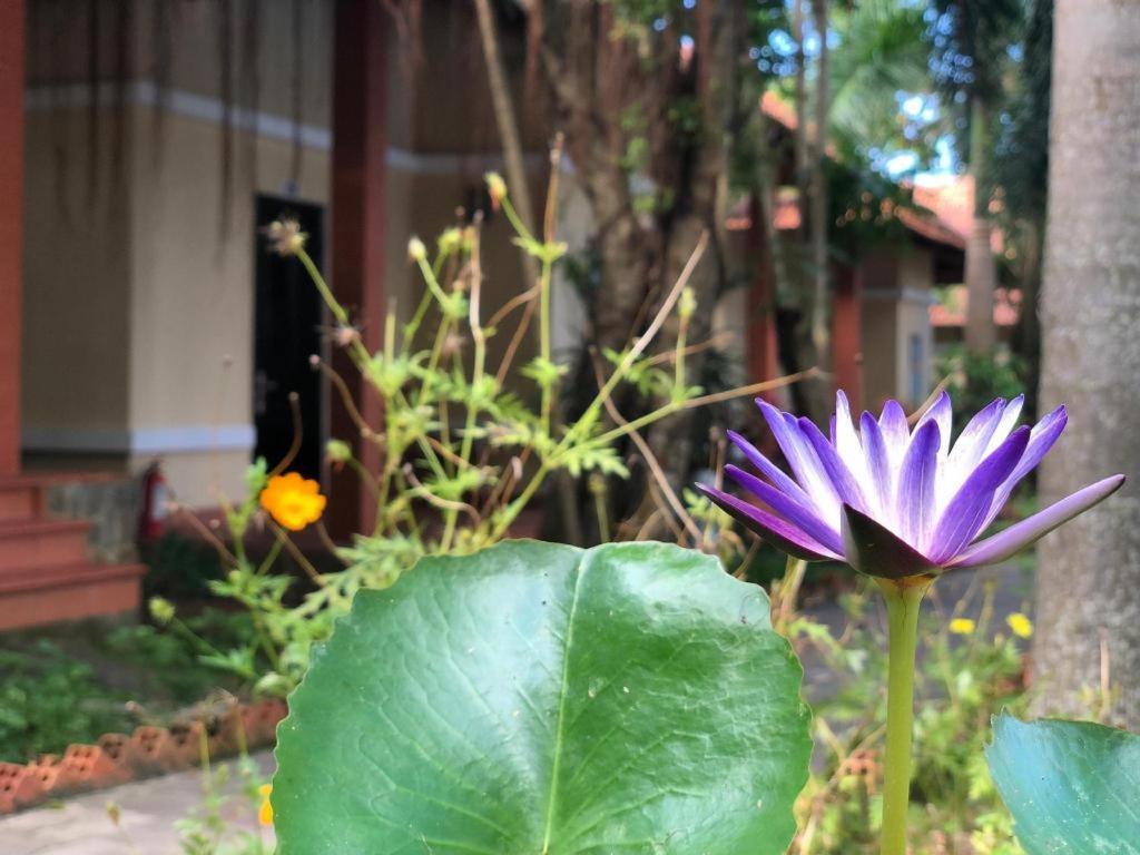 Castaways Resort Phu Quoc Eksteriør bilde